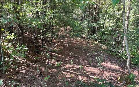 16 Hawks Branch Lane, White, GA 30184
