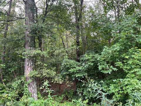 119 Kirk Road, White, GA 30184
