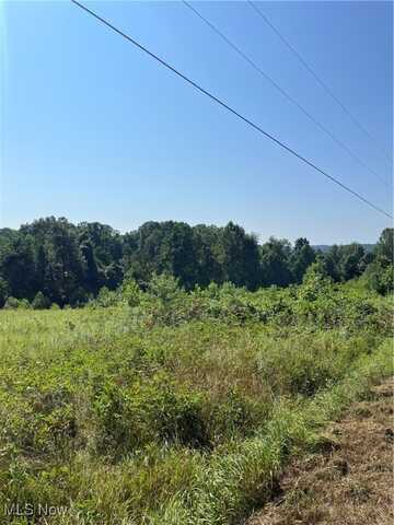 Timber Road, Bergholz, OH 43908