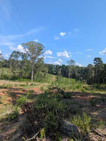 TBD CR 142 N, San Augustine, TX 75972
