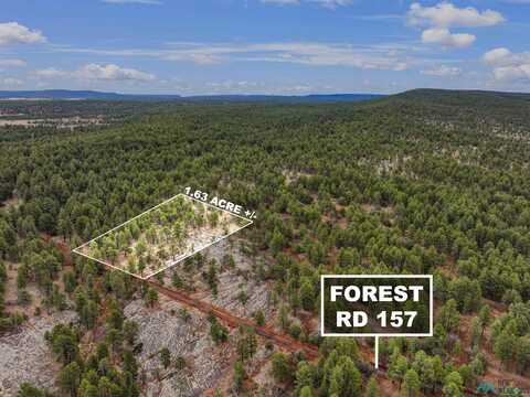 Lot 25h Forest 157 Road, Mcgaffey, NM 87316