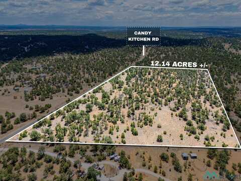 Lot 19 Tbd Candy Kitchen Road, Pinehill, NM 87321