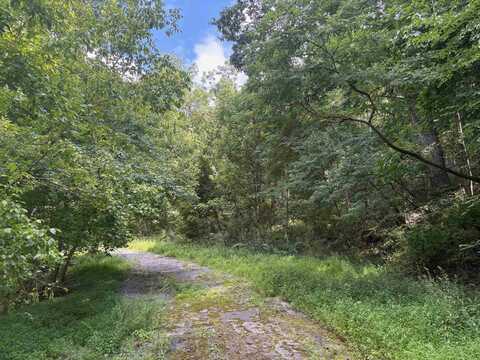 TBD Virginia Avenue, Newport, VA 24128