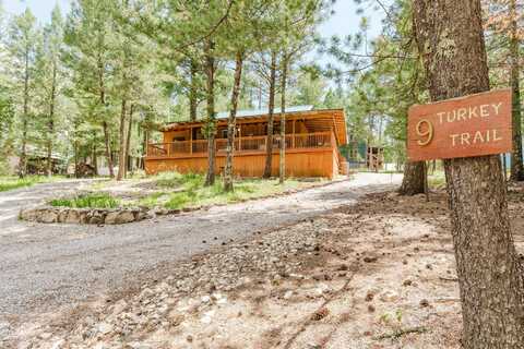 9 Turkey Trl, Cloudcroft, NM 88317