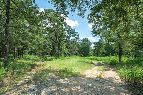 1030 VZ County Road 3208, Wills Point, TX 75169