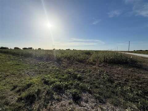 Lot 51 Private Road 451, Grandview, TX 76050