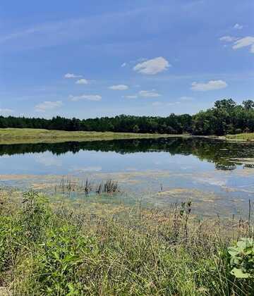 1229 County Road 3105, Bonham, TX 75418