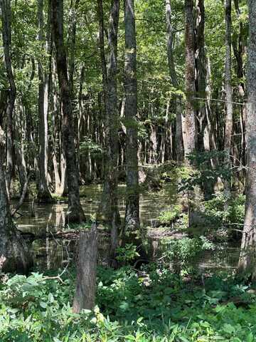 00 County Road 529, Minter City, MS 38944