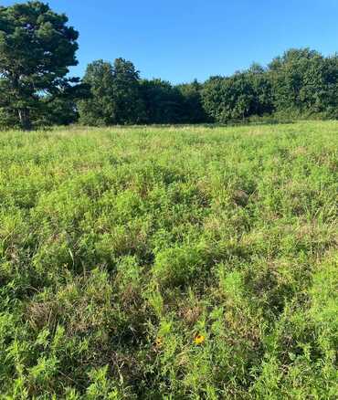 Tract 2 E1252 Road, Whitefield, OK 74462