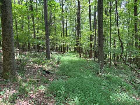 0 North Fork Dam, Boswell, PA 15531