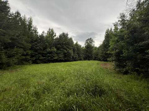 0 County Road 213, Eutaw, AL 35462
