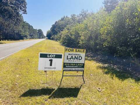 0 Moores Chapel Road Tract 1, Mauk, GA 31058