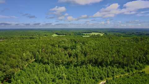 0 Montevallo Road, Centerville, AL 35042