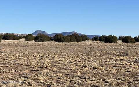 53402 N. Carlita Dr., Seligman, AZ 86337