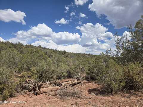 215 Off Cathedral Valley, Ash Fork, AZ 86320