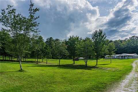 3180 Lee Rd 166, Opelika, AL 36804