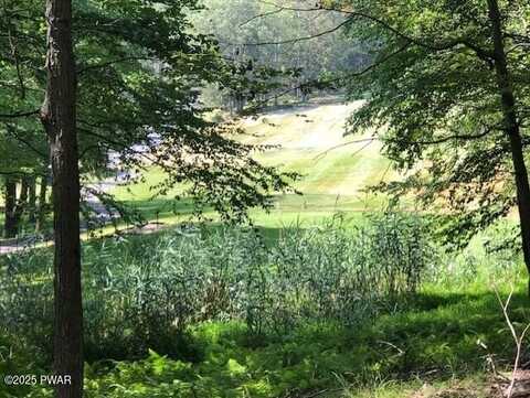 Lot 258 Bear Trap Mountain Road, Greentown, PA 18426