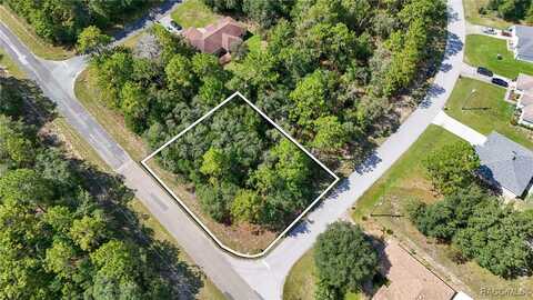 8331 N Primrose Drive, Citrus Springs, FL 34434