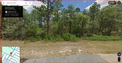8549 N RONDA Drive, Citrus Springs, FL 34434