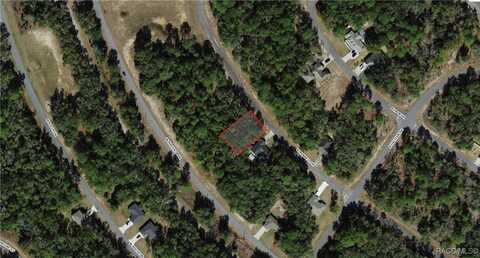 11070 N Morrell Drive, Citrus Springs, FL 34434