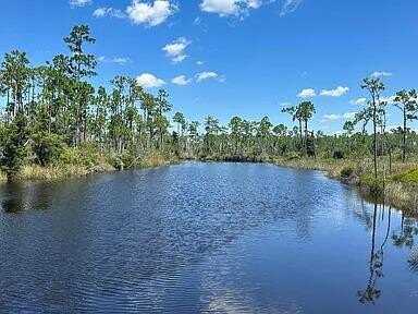 9641 CR 386 N, Wewahitchka, FL 32465