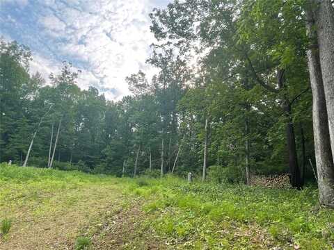 Lots 4,5 & 6 Anderson Hill Lane, Boyceville, WI 54725