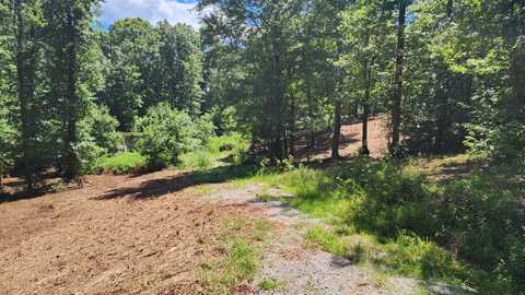 375 Goins Hill Road, Ten Mile, TN 37880