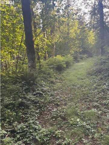 0 MATTHEWS RD, Washougal, WA 98671