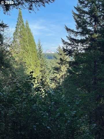 0 MATTHEWS RD, Washougal, WA 98671