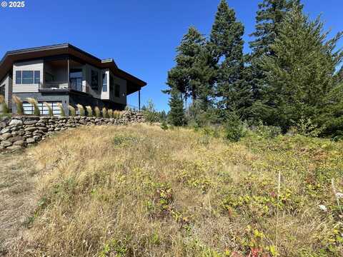 711 NW ANGEL HEIGHTS RD, Stevenson, WA 98648