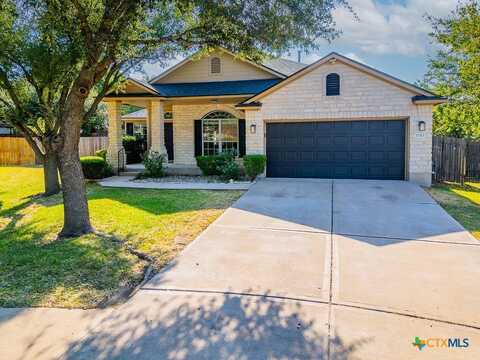 17313 Guana Cay Drive, Round Rock, TX 78664