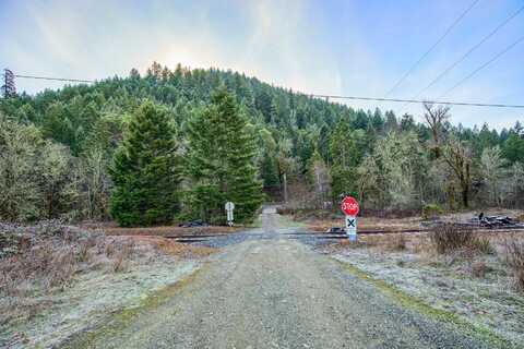 2575 Lower Wolf Creek Road, Wolf Creek, OR 97497