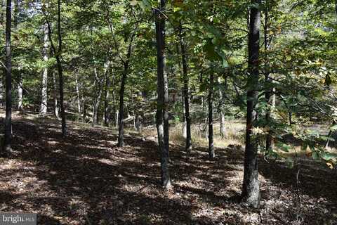 Lot 5 PRIVATE RANCH ROAD, ROMNEY, WV 26757