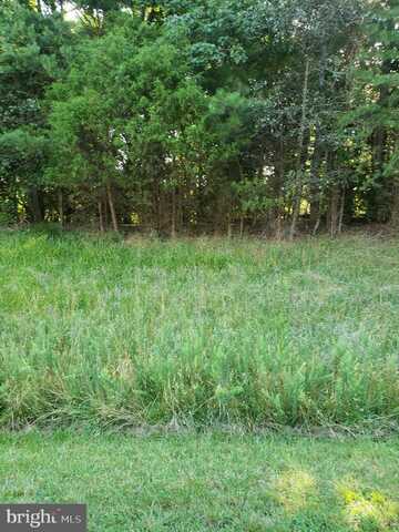 Lot 8 LAKE, LEXINGTON PARK, MD 20653