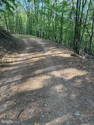 699 CHICKLOON LANE, GREAT CACAPON, WV 25422