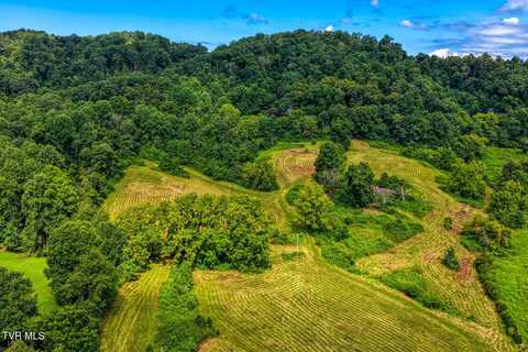 Tbd Hickman Hills Road, Rogersville, TN 37857