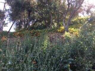 00 Earl Court, Los Angeles, CA 90039