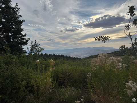 32 J CHOKECHERRY, Fairview, UT 84629