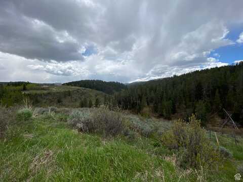 41 GROUSE LOOP, Freedom, WY 83120