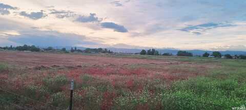 3447 E 5300 S, Naples, UT 84078