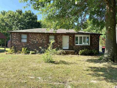 160 Hicks Lane, Ledbetter, KY 42058