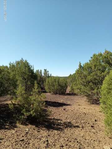 Tbd County Road 3197 Lot 46, Vernon, AZ 85940