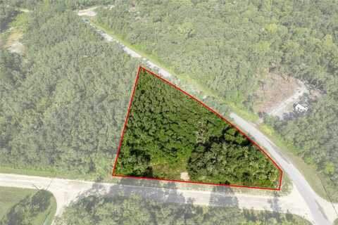 BIGELOW AVENUE, WEBSTER, FL 33597