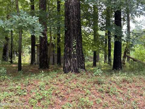 0 Croomsbridge Road, Burgaw, NC 28425