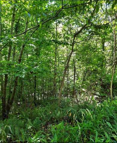 1774 Owl Creek Road, Lucasville, OH 45648