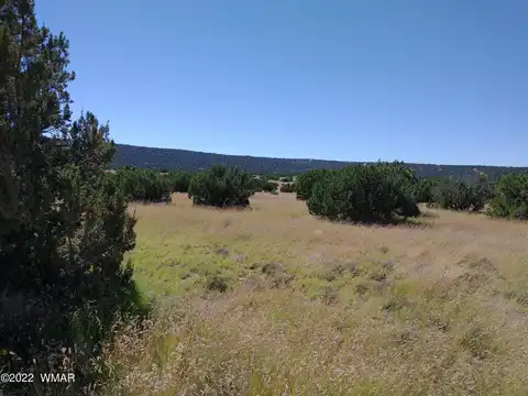 County Road 8014, CONCHO, AZ 85924