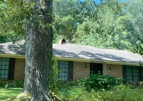 Terrapin, BRANDON, MS 39042
