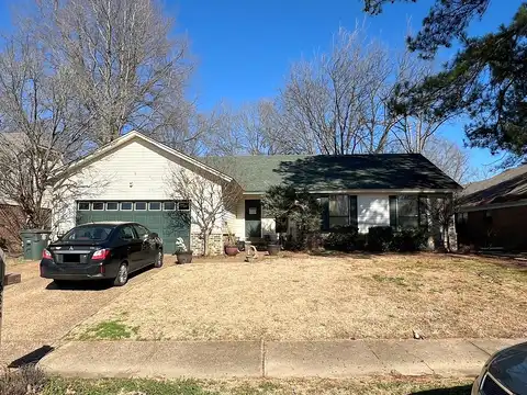 Bedlington, CORDOVA, TN 38018