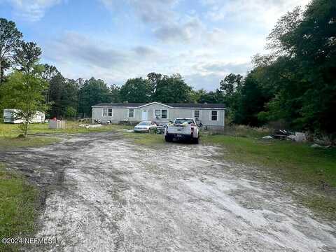 Dandelion, MIDDLEBURG, FL 32068