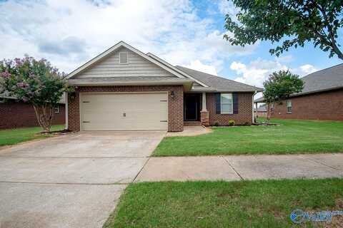 River Landing, MADISON, AL 35756